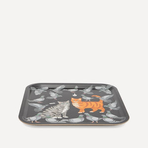 Cat tray